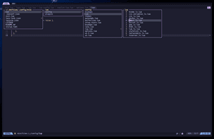 lsp-config nvim v0.11