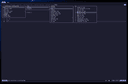 lsp-config nvim v0.11